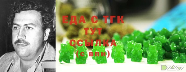 таблы Бородино
