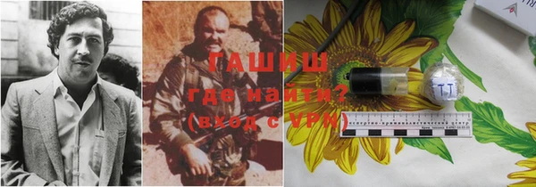 таблы Бородино